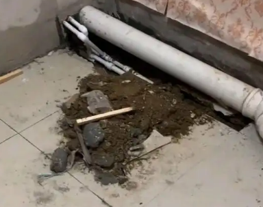 陇县卫生间漏水检测哪家好