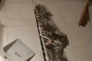 陇县卫生间漏水检测电话